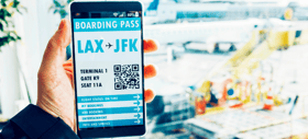 Ticketless_Travel (1)