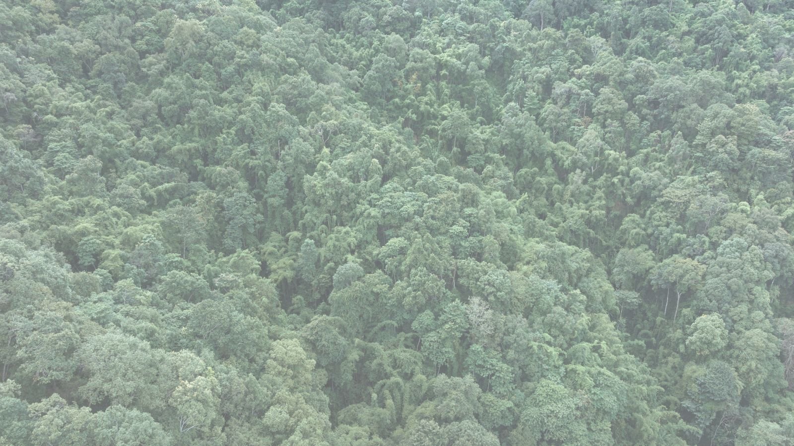 Emissions TripAI JPG