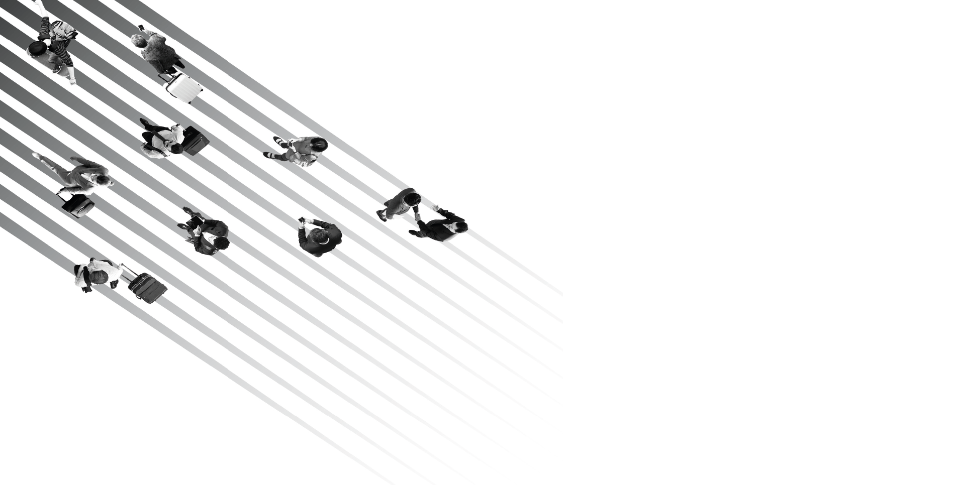 Streamline your operations