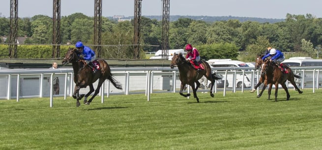 Horses Racing