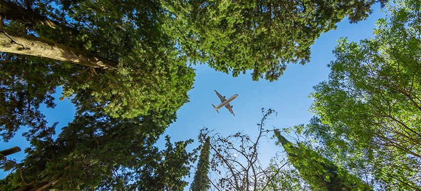 Plane Flying Over Trees