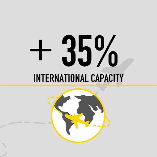 <h3>Market-Leading Growth</h3>