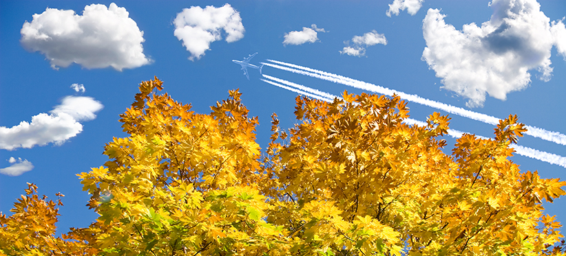 plane-over-autumn-trees