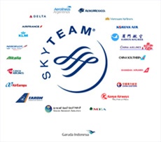 SkyTeam members